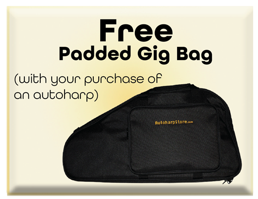 Free Padded Gig Bag